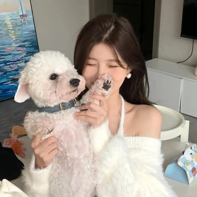缉凶双宝