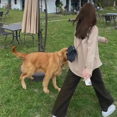 克鲁兹夫人